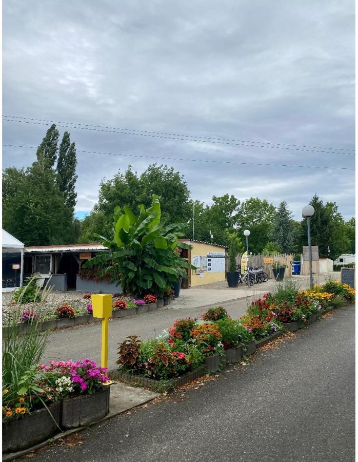 Campsite Mobile Proche De Europa Park Boofzheim